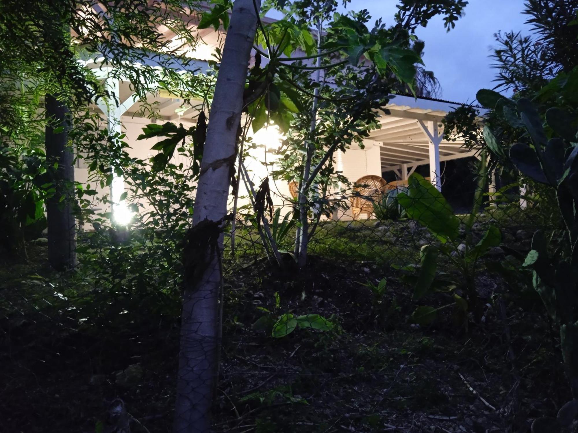 Villa Alizea Capesterre エクステリア 写真