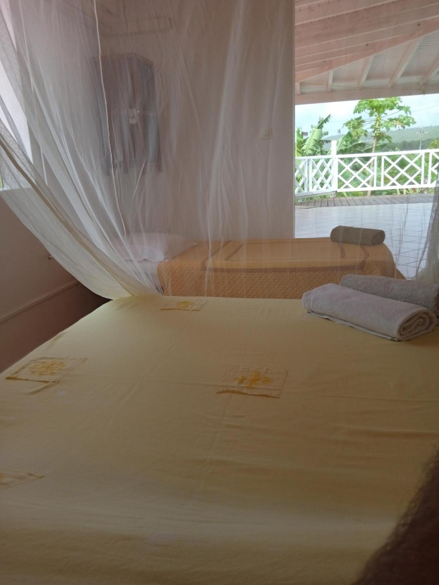 Villa Alizea Capesterre エクステリア 写真