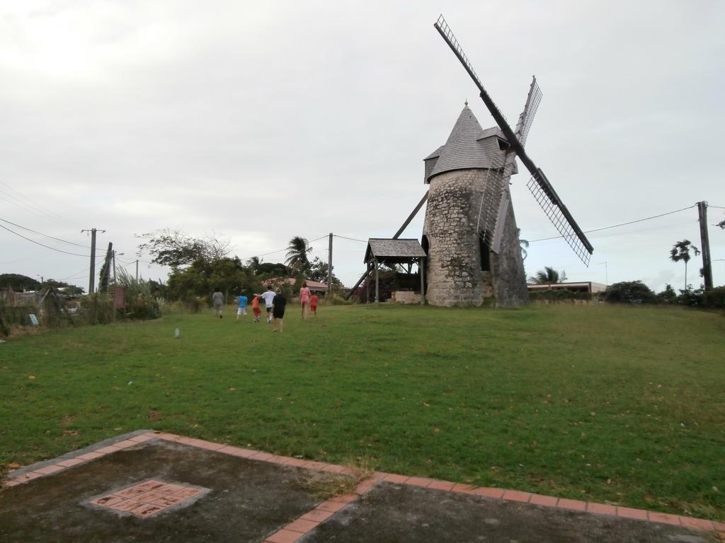 Villa Alizea Capesterre エクステリア 写真