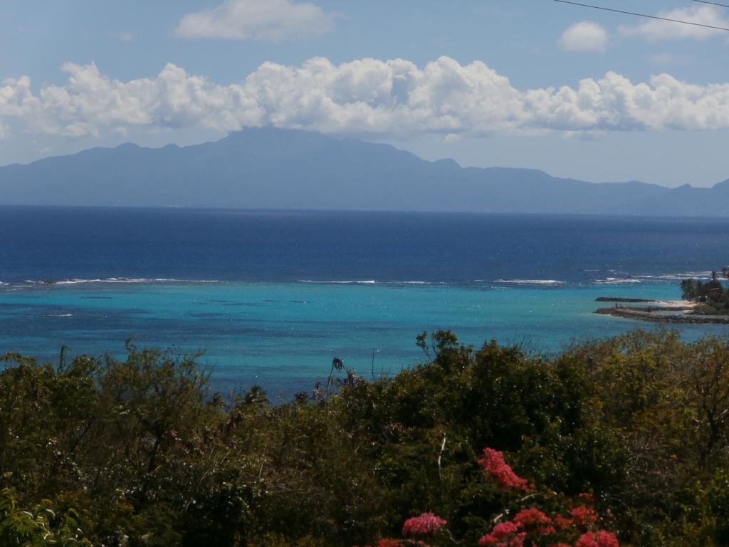 Villa Alizea Capesterre エクステリア 写真