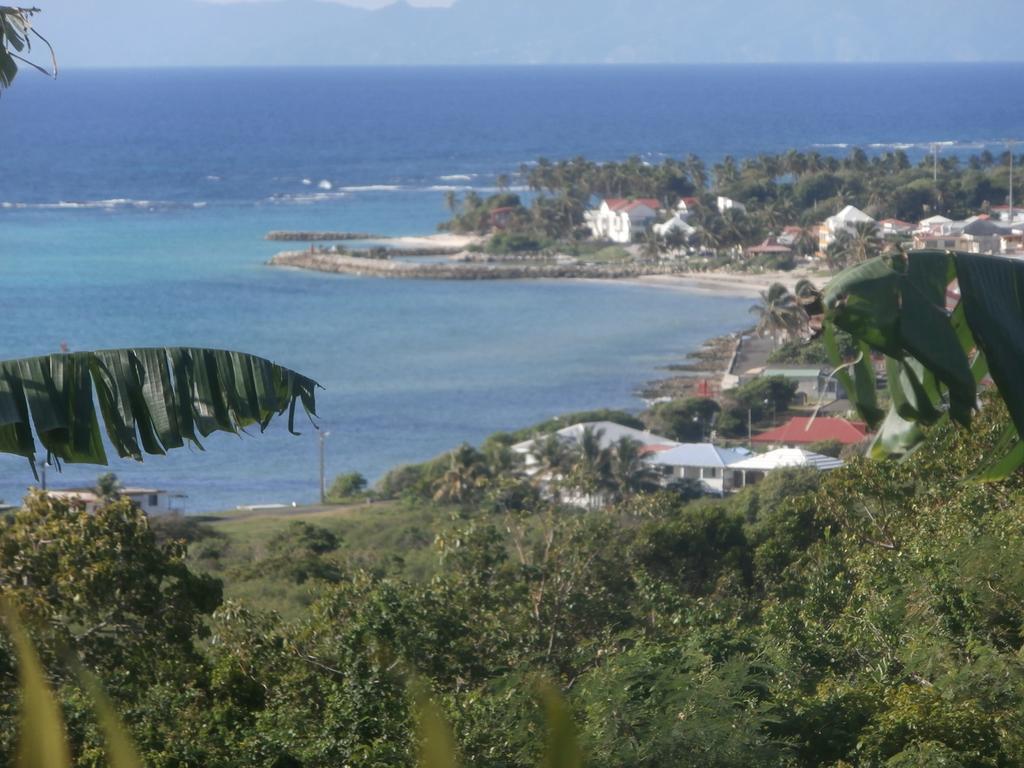 Villa Alizea Capesterre エクステリア 写真